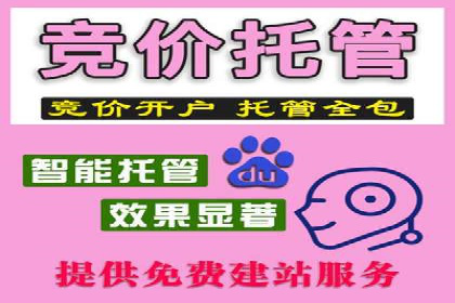 成功案例分享：SEO与SEM优化助力企业腾飞